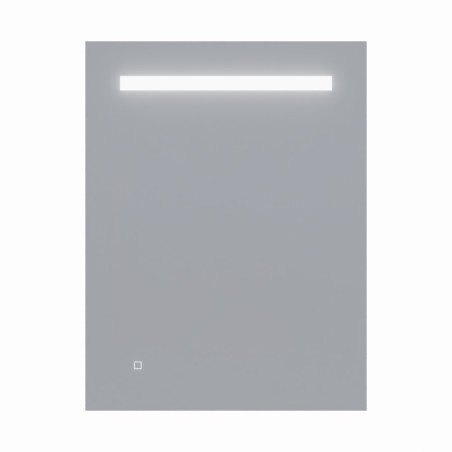 Miroir avec éclairage LED ELEGANCE - 80 cm x ht105 cm