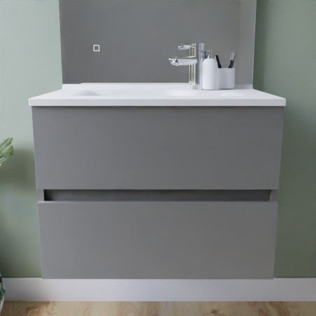 Meuble salle de bain suspendu tout inox 70 cm ROSINOX avec plan vasque ROSINOX - Gris clair