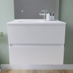 Meuble salle de bain suspendu tout inox 70 cm ROSINOX avec plan vasque ROSINOX - Blanc mat
