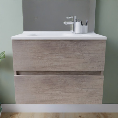Meuble salle de bain suspendu tout inox 70 cm ROSINOX avec plan vasque ROSINOX - Chêne