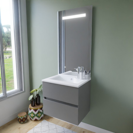 Meuble ROSINOX 60 cm avec plan vasque et miroir Elegance Hauteur 105 cm - Gris clair