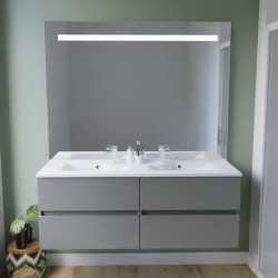 Meuble salle de bain suspendu tout inox 140 cm ROSINOX avec plan vasque et miroir Elegance ht105 - Gris mat