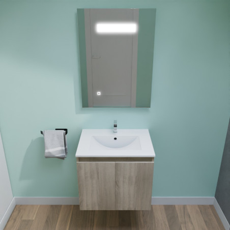 Meuble PROLINE 60 cm avec plan vasque en céramique et miroir LED Elégance - Coloris bois