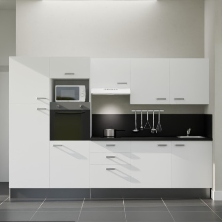 Kitchenette K46L-PT - 300 cm avec plan de travail et évier