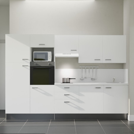 Kitchenette K46L-PT - 300 cm avec plan de travail et évier