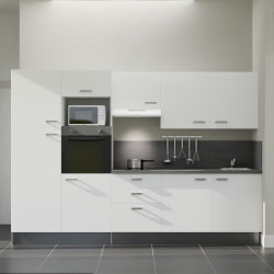 Kitchenette K46L-PT - 300 cm avec plan de travail et évier
