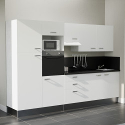 Kitchenette K46L-PT - 300 cm avec plan de travail et évier