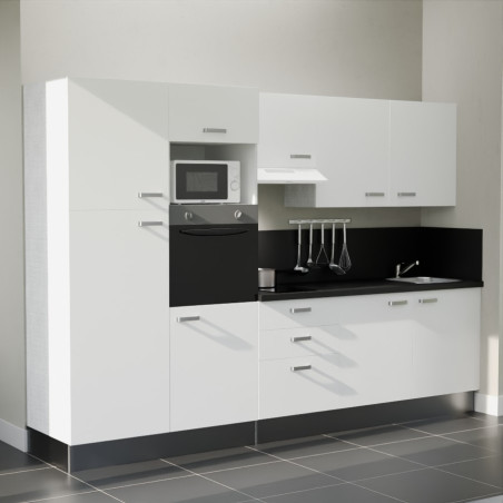 Kitchenette K46L-PT - 300 cm avec plan de travail et évier