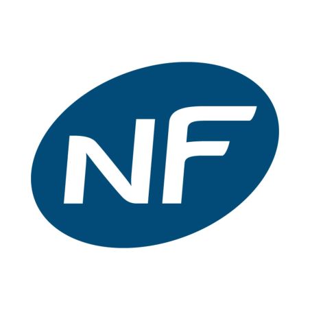 NF Mitigeur évier JESSY