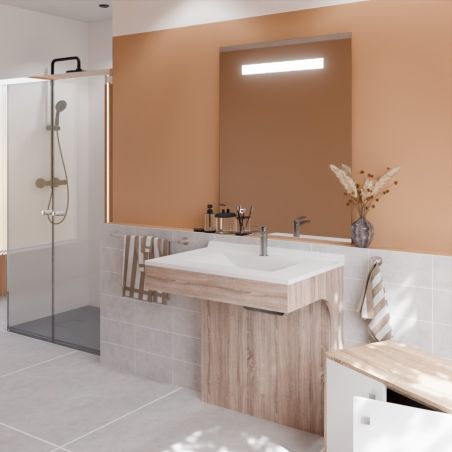 Ensemble PMR ALTEA 80 cm avec plan vasque et miroir led Elégance ht105