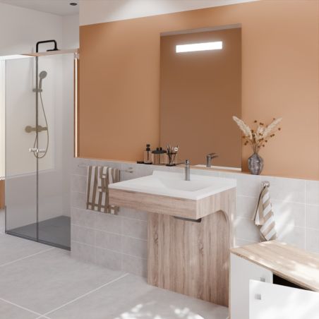 Ensemble PMR ALTEA 70 cm avec plan vasque et miroir led Elégance ht105