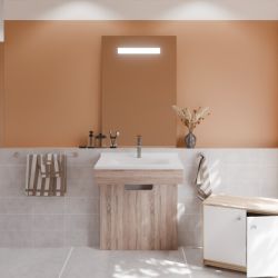 Ensemble PMR ALTEA 70 cm avec plan vasque et miroir led Elégance ht105