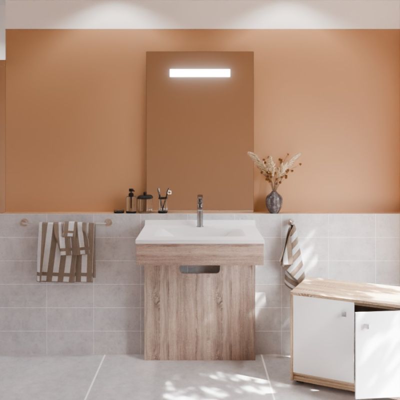 Ensemble PMR ALTEA 70 cm avec plan vasque et miroir led Elégance ht105 Ensemble PMR ALTEA 70 cm avec plan vasque et miroir led Elégance ht105