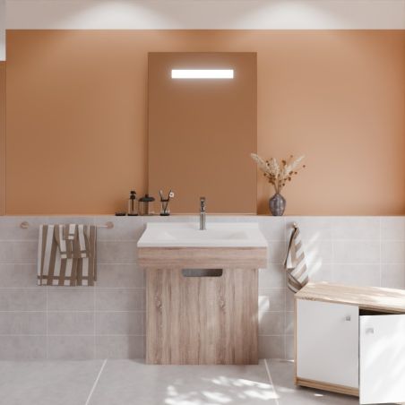 Ensemble PMR ALTEA 70 cm avec plan vasque et miroir led Elégance ht105