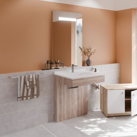 Ensemble PMR ALTEA 70 cm avec plan vasque et miroir led Elégance ht105