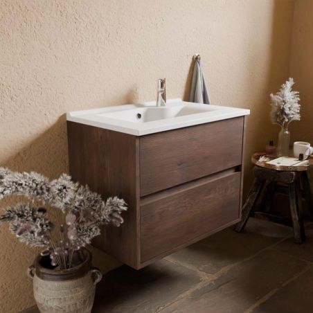 Ensemble ALIXIA 70 cm caisson avec plan vasque en résine