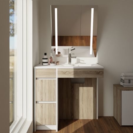 Ensemble PMR ANDY PLUS 90 cm vasque à droite + miroir inclinable Rota Plus