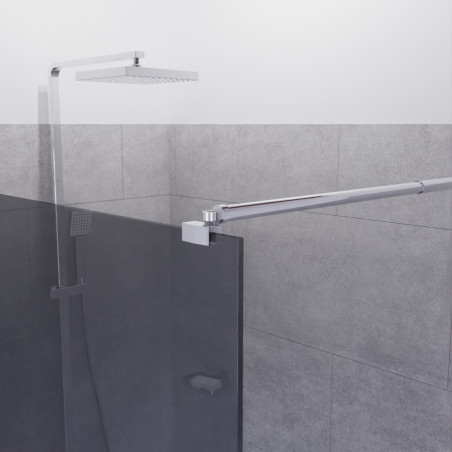 Paroi de douche miroir PSYCHE - verre 8 mm - 100x200 cm